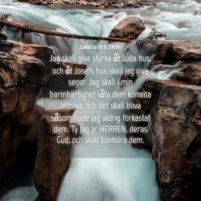 Picture 04 - Sakaria 10:6 SV1917 - Jag skall giva styrka åt Juda hus, och åt - Bible Verse Picture