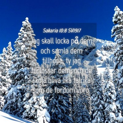 Picture 04 - Sakaria 10:8 SV1917 - Jag skall locka på dem och samla dem tillhopa, - Bible Verse Picture