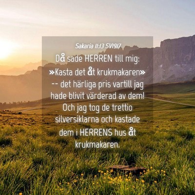 Picture 04 - Sakaria 11:13 SV1917 - Då sade HERREN till mig: »Kasta det åt - Bible Verse Picture