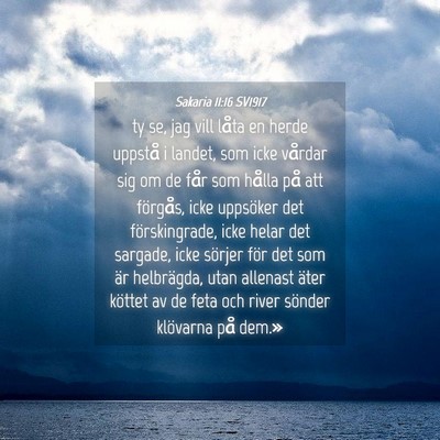Picture 04 - Sakaria 11:16 SV1917 - ty se, jag vill låta en herde uppstå i landet, - Bible Verse Picture