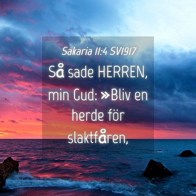 Picture 04 - Sakaria 11:4 SV1917 - Så sade HERREN, min Gud: »Bliv en herde för - Bible Verse Picture