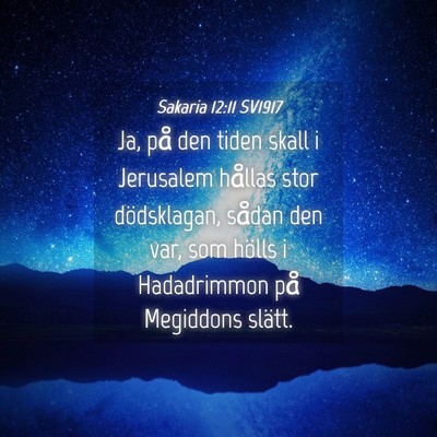 Picture 04 - Sakaria 12:11 SV1917 - Ja, på den tiden skall i Jerusalem hållas stor - Bible Verse Picture