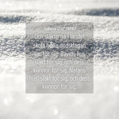 Picture 04 - Sakaria 12:12 SV1917 - Och släkterna i landet skola hålla dödsklagan - Bible Verse Picture