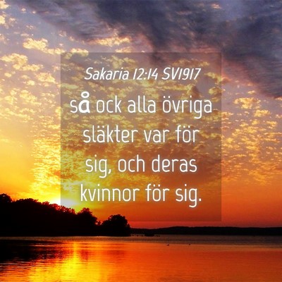 Picture 04 - Sakaria 12:14 SV1917 - så ock alla övriga släkter var för sig, och - Bible Verse Picture