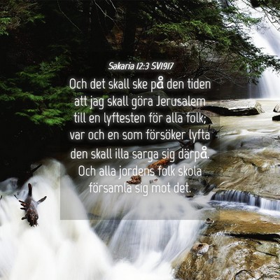 Picture 04 - Sakaria 12:3 SV1917 - Och det skall ske på den tiden att jag skall - Bible Verse Picture