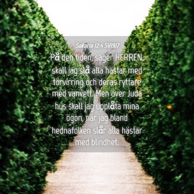 Picture 04 - Sakaria 12:4 SV1917 - På den tiden, säger HERREN, skall jag slå alla - Bible Verse Picture