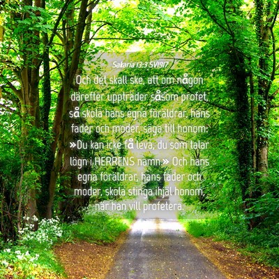 Picture 04 - Sakaria 13:3 SV1917 - Och det skall ske, att om någon därefter - Bible Verse Picture