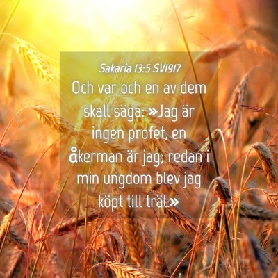 Picture 04 - Sakaria 13:5 SV1917 - Och var och en av dem skall säga: »Jag är - Bible Verse Picture