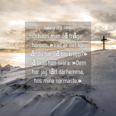 Picture 04 - Sakaria 13:6 SV1917 - Och om man då frågar honom: »Vad är det för - Bible Verse Picture
