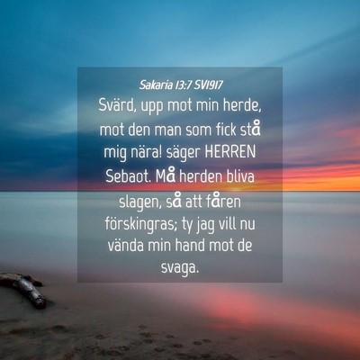 Picture 04 - Sakaria 13:7 SV1917 - Svärd, upp mot min herde, mot den man som fick - Bible Verse Picture