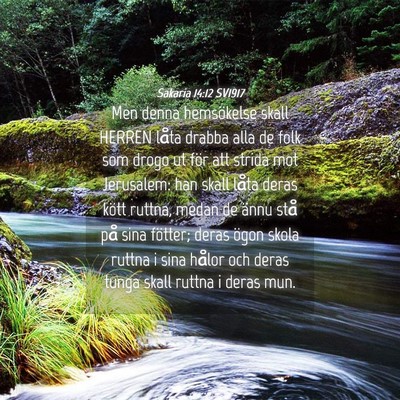 Picture 04 - Sakaria 14:12 SV1917 - Men denna hemsökelse skall HERREN låta drabba - Bible Verse Picture