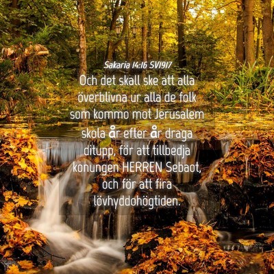 Picture 04 - Sakaria 14:16 SV1917 - Och det skall ske att alla överblivna ur alla de - Bible Verse Picture
