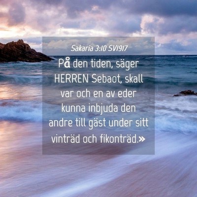 Picture 04 - Sakaria 3:10 SV1917 - På den tiden, säger HERREN Sebaot, skall var - Bible Verse Picture