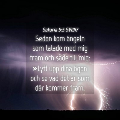 Picture 04 - Sakaria 5:5 SV1917 - Sedan kom ängeln som talade med mig fram och - Bible Verse Picture