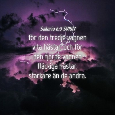 Picture 04 - Sakaria 6:3 SV1917 - för den tredje vagnen vita hästar, och för den - Bible Verse Picture