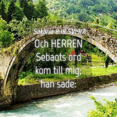 Picture 04 - Sakaria 8:18 SV1917 - Och HERREN Sebaots ord kom till mig; han - Bible Verse Picture