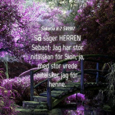 Picture 04 - Sakaria 8:2 SV1917 - Så säger HERREN Sebaot: Jag har stor nitälskan - Bible Verse Picture