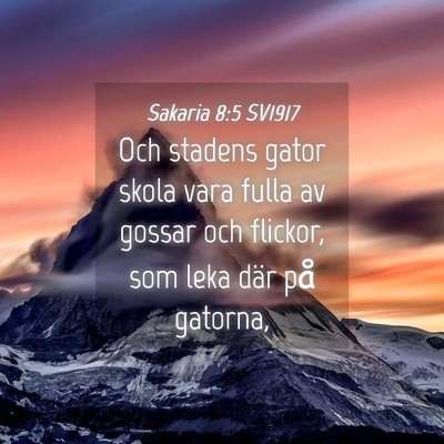 Picture 04 - Sakaria 8:5 SV1917 - Och stadens gator skola vara fulla av gossar och - Bible Verse Picture