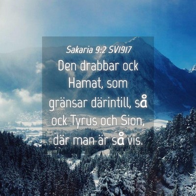 Picture 04 - Sakaria 9:2 SV1917 - Den drabbar ock Hamat, som gränsar därintill, - Bible Verse Picture