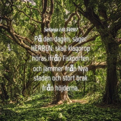 Picture 04 - Sefanja 1:10 SV1917 - På den dagen, säger HERREN, skall klagorop - Bible Verse Picture