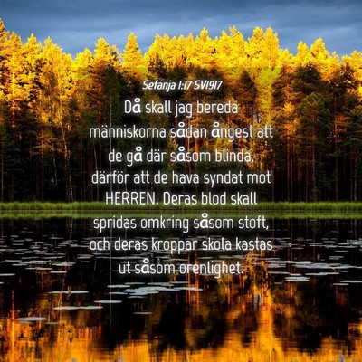 Picture 04 - Sefanja 1:17 SV1917 - Då skall jag bereda människorna sådan ångest - Bible Verse Picture