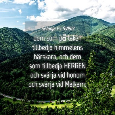 Picture 04 - Sefanja 1:5 SV1917 - dem som på taken tillbedja himmelens härskara, - Bible Verse Picture