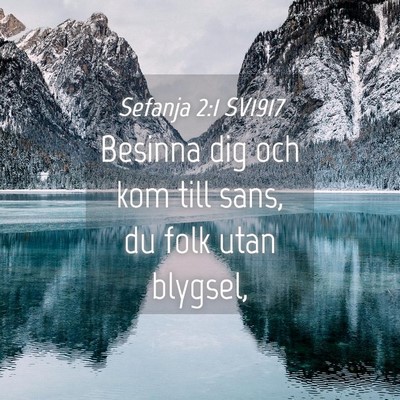 Picture 04 - Sefanja 2:1 SV1917 - Besinna dig och kom till sans, du folk utan - Bible Verse Picture