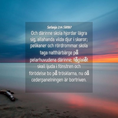 Picture 04 - Sefanja 2:14 SV1917 - Och därinne skola hjordar lägra sig, allahanda - Bible Verse Picture
