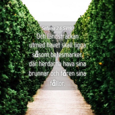 Picture 04 - Sefanja 2:6 SV1917 - Och landsträckan utmed havet skall ligga såsom - Bible Verse Picture