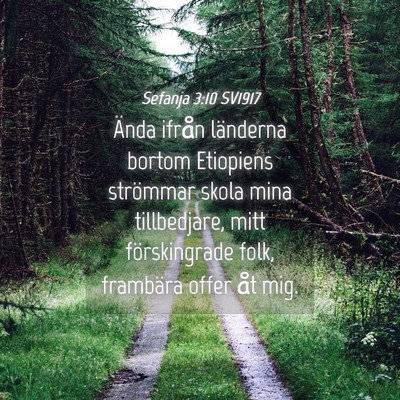 Picture 04 - Sefanja 3:10 SV1917 - Ända ifrån länderna bortom Etiopiens strömmar - Bible Verse Picture