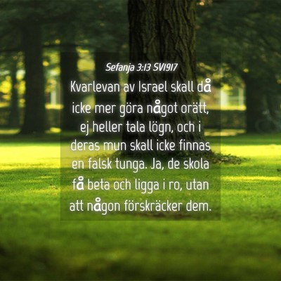 Picture 04 - Sefanja 3:13 SV1917 - Kvarlevan av Israel skall då icke mer göra - Bible Verse Picture