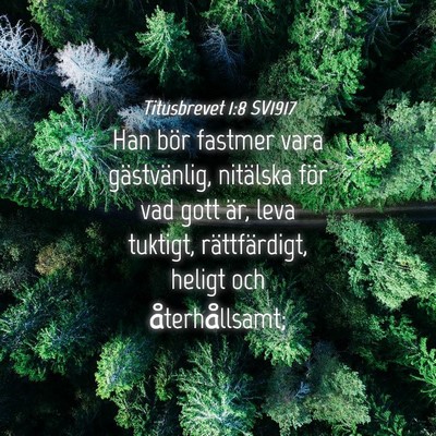 Picture 04 - Titusbrevet 1:8 SV1917 - Han bör fastmer vara gästvänlig, nitälska - Bible Verse Picture
