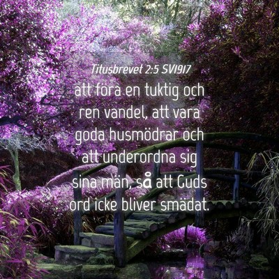 Picture 04 - Titusbrevet 2:5 SV1917 - att föra en tuktig och ren vandel, att vara goda - Bible Verse Picture