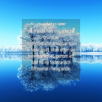 Picture 04 - Titusbrevet 3:5 SV1917 - då frälste han oss, icke på grund av - Bible Verse Picture