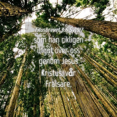 Picture 04 - Titusbrevet 3:6 SV1917 - som han rikligen utgöt över oss genom Jesus - Bible Verse Picture