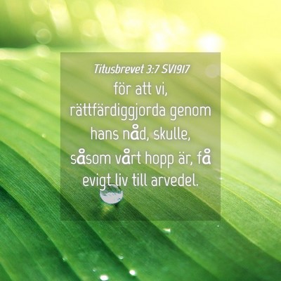 Picture 04 - Titusbrevet 3:7 SV1917 - för att vi, rättfärdiggjorda genom hans nåd, - Bible Verse Picture