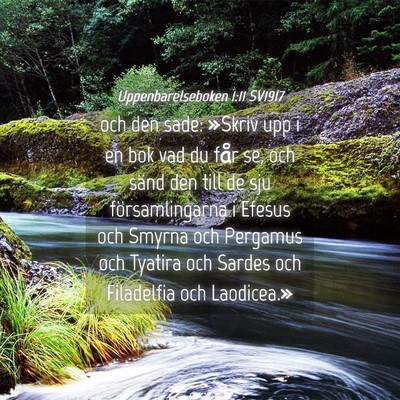 Picture 04 - Uppenbarelseboken 1:11 SV1917 - och den sade: »Skriv upp i en bok vad du får - Bible Verse Picture