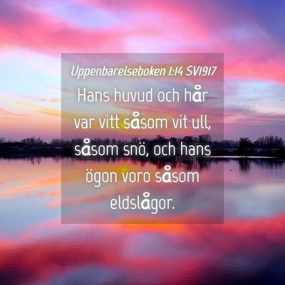 Picture 04 - Uppenbarelseboken 1:14 SV1917 - Hans huvud och hår var vitt såsom vit ull, - Bible Verse Picture