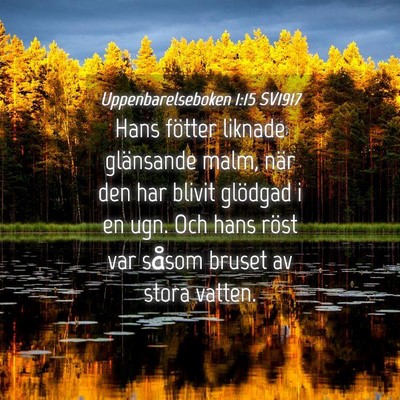 Picture 04 - Uppenbarelseboken 1:15 SV1917 - Hans fötter liknade glänsande malm, när den - Bible Verse Picture