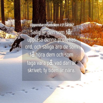 Picture 04 - Uppenbarelseboken 1:3 SV1917 - Salig är den som får uppläsa denna profetias - Bible Verse Picture