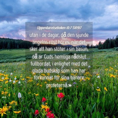 Picture 04 - Uppenbarelseboken 10:7 SV1917 - utan i de dagar, då den sjunde ängelns röst - Bible Verse Picture