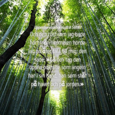 Picture 04 - Uppenbarelseboken 10:8 SV1917 - Och den röst som jag hade hört från himmelen - Bible Verse Picture