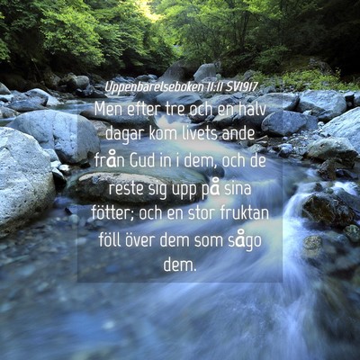 Picture 04 - Uppenbarelseboken 11:11 SV1917 - Men efter tre och en halv dagar kom livets ande - Bible Verse Picture