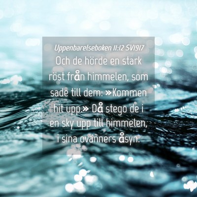 Picture 04 - Uppenbarelseboken 11:12 SV1917 - Och de hörde en stark röst från himmelen, som - Bible Verse Picture