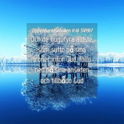 Picture 04 - Uppenbarelseboken 11:16 SV1917 - Och de tjugufyra äldste, som sutto på sina - Bible Verse Picture