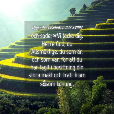 Picture 04 - Uppenbarelseboken 11:17 SV1917 - och sade: »Vi tacka dig, Herre Gud, du - Bible Verse Picture
