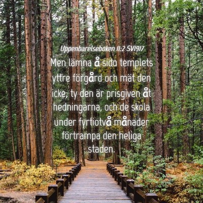 Picture 04 - Uppenbarelseboken 11:2 SV1917 - Men lämna å sido templets yttre förgård och - Bible Verse Picture