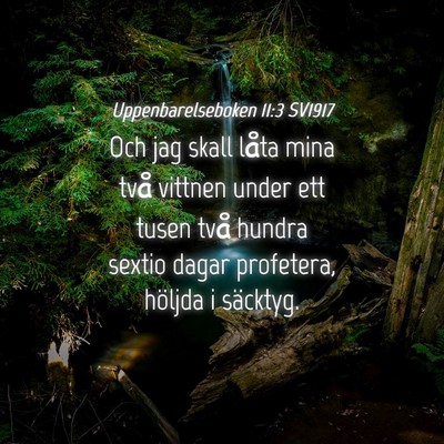 Picture 04 - Uppenbarelseboken 11:3 SV1917 - Och jag skall låta mina två vittnen under ett - Bible Verse Picture