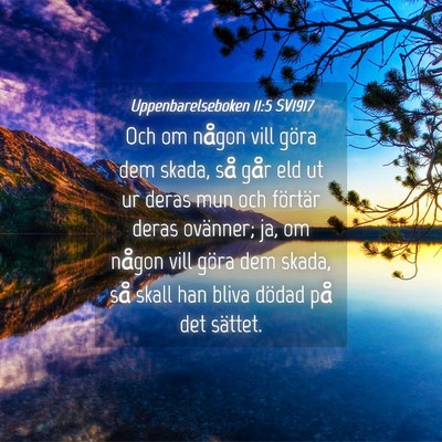 Picture 04 - Uppenbarelseboken 11:5 SV1917 - Och om någon vill göra dem skada, så går eld - Bible Verse Picture