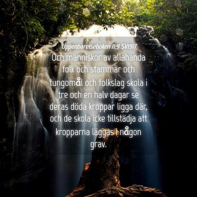 Picture 04 - Uppenbarelseboken 11:9 SV1917 - Och människor av allahanda folk och stammar och - Bible Verse Picture